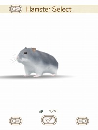 ꡼ No.014 | İϥॹȿ礪HamTouch!פiPhone/iPod touchǤiPadǤ꡼