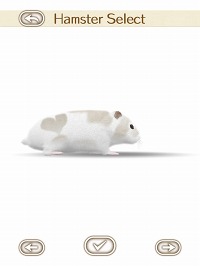 ꡼ No.015 | İϥॹȿ礪HamTouch!פiPhone/iPod touchǤiPadǤ꡼