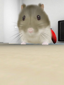 ꡼ No.018 | İϥॹȿ礪HamTouch!פiPhone/iPod touchǤiPadǤ꡼