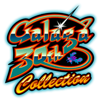 画像ギャラリー No.002のサムネイル画像 / ギャラガ生誕30周年。iPhone/iPad向けに「Galaga 30th Collection」配信開始