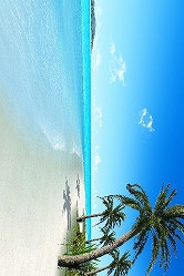 ���������꡼ No.002�Υ���ͥ������ / iPhone/Android���ץ�֥ӡ���������롦�ӡ����פ�̵���ۿ���