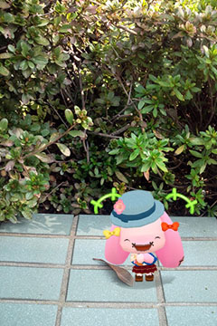 ���������꡼ No.004�Υ���ͥ������ / �̤�����ߤ��Ƥ륢�ץ�֥ԥ���֡ס����������Ȥ����������ץ�