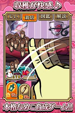 画像ギャラリー No.003のサムネイル画像 / iOS向け「おさわり探偵なめこ栽培キット Seasons」,2ndシーズンが配信開始