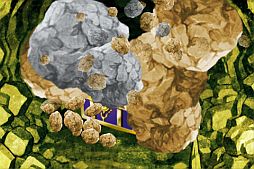 ꡼ No.005 | 륢ץ֥ȥǥ顼סMobageiOSۿ