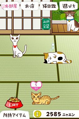 ꡼ No.002Υͥ / iPhoneǭȤס2߷ץɿ50