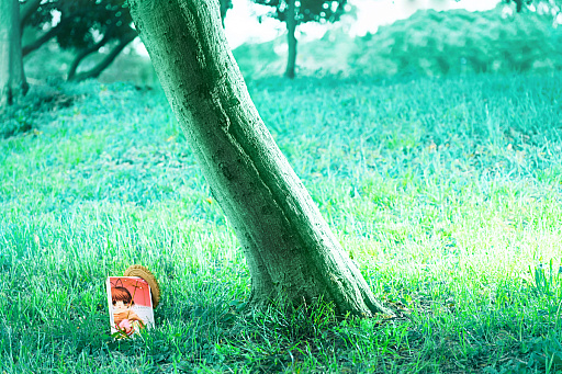 ꡼ No.001 | CLANNAD򰦤ͤϡYahoo!ǼĤˤ