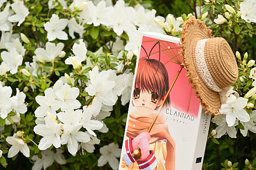 ꡼ No.006 | CLANNAD򰦤ͤϡYahoo!ǼĤˤ