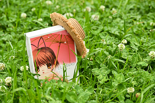 ꡼ No.007 | CLANNAD򰦤ͤϡYahoo!ǼĤˤ