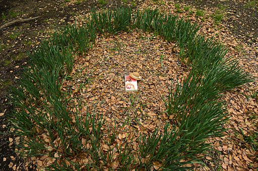 ꡼ No.009 | CLANNAD򰦤ͤϡYahoo!ǼĤˤ