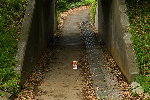 ꡼ No.020 | CLANNAD򰦤ͤϡYahoo!ǼĤˤ