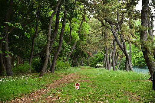 ꡼ No.026 | CLANNAD򰦤ͤϡYahoo!ǼĤˤ