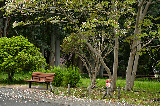 ꡼ No.028 | CLANNAD򰦤ͤϡYahoo!ǼĤˤ