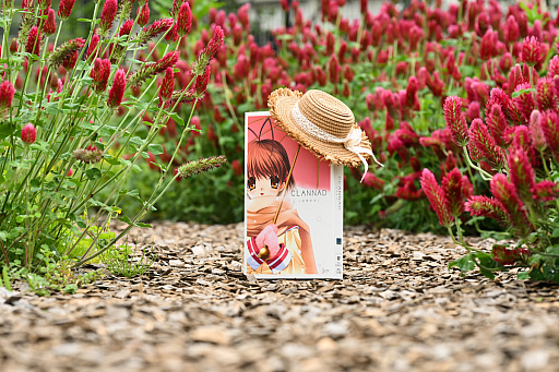 ꡼ No.029 | CLANNAD򰦤ͤϡYahoo!ǼĤˤ