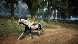 画像ギャラリー No.003のサムネイル画像 / iiyama PC,「黒い砂漠」推奨デスクトップPCを発売。11万1219円から