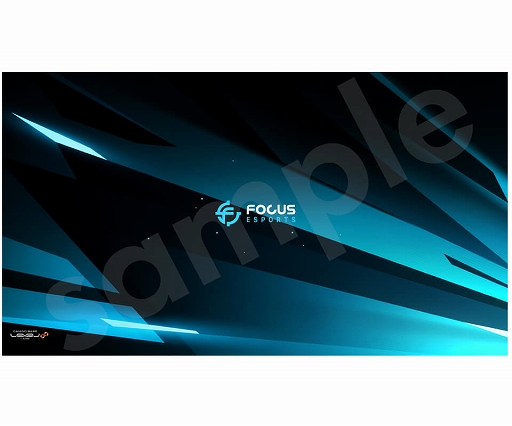 画像ギャラリー No.003のサムネイル画像 / LEVEL∞,プロチーム「Focus e-Sports」コラボのゲーマー向けPCを発売