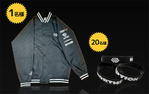 ���������꡼ No.002�Υ���ͥ������ / LEVEL�硤�ץ��������NORTHEPTION�ס�BLUE BEES�ס�ZETA DIVISION�פȤγƥ����PC��5000�߰����Ȥʤ륭���ڡ���