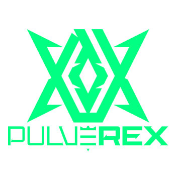 ���������꡼ No.005�Υ���ͥ������ / LEVEL�硤�ץ��������PULVEREX�ץ���ܥ�ǥ�Υ�����PC��ȯ��