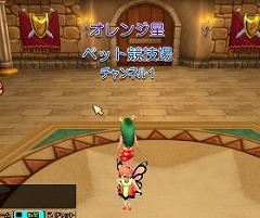 ���������꡼ No.017�Υ���ͥ������ / ��;���Ǥ��롪�֥�󥹥���������ȡפο����赡���ڥå�