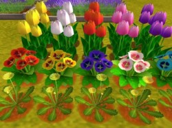 ꡼ No.005 | ֤褿!? ֥󥹥ȡסڥåȤοоʤ