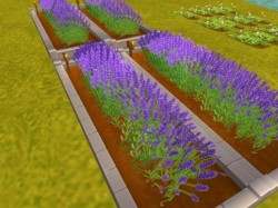 ꡼ No.006 | ֤褿!? ֥󥹥ȡסڥåȤοоʤ