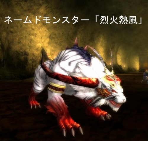 ꡼ No.013Υͥ / 3ǥ󥹥ȡŷסȽ鿴Իɤδ˾3000̾罸