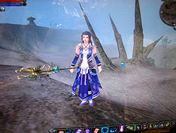 ꡼ No.003Υͥ / CJ 200834ϥڥåȤȥץ쥤䡼餬ΡMMORPG&#x5db8;ŷOnlineפץ쥤֥Ÿ