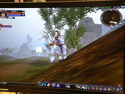 ꡼ No.010Υͥ / CJ 200834ϥڥåȤȥץ쥤䡼餬ΡMMORPG&#x5db8;ŷOnlineפץ쥤֥Ÿ