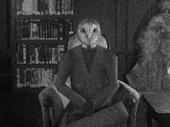 狂気や幻覚に呑まれる前に，封じられた記憶と自らの「影」に向き合う。サバイバルサイコホラー「夢廻症」，本日発売