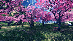 ꡼ No.007Υͥ / ֥֥쥤ɥɥפΥåץǡȡֹޤäڱפǤ糦λѤ餫ˡɤɥޥåפץǥ塼˥󥿥ӥ塼