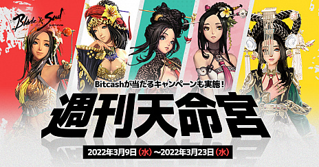 ꡼ No.002Υͥ / ֥֥쥤ɥɥסᥤ󥹥ȡ꡼ȥԥå12 ֡ɤȸ󥸥ȻƲɤ2022ǯ316ɲ