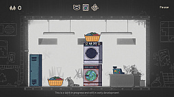 Money Laundering Raccoon