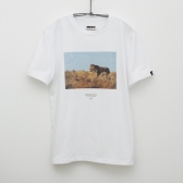 ꡼ No.005 | ǲ֥ɥ饴󥯥 楢ȡ꡼פȥեåȥץȽġ֥˥ޥꥢפΥTĤȯ