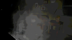 What The Dog Remembers