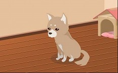 ꡼ No.004 | Nicotto TownסBIGLOBEΡ֥֥֥פ˥Х