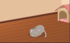 ꡼ No.005 | Nicotto TownסBIGLOBEΡ֥֥֥פ˥Х