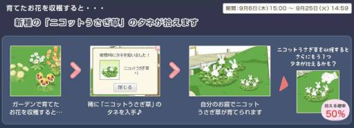 ꡼ No.004 | Nicotto Townפ4ǯǰ٥2Ƥǡ֥˥åȤפо