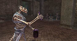 画像集#003のサムネイル/「EQ II:The Shadow Odyssey」発売直前。新ゾーンや新しいマップシステム情報に,ギルドホール飾りつけコンテスト結果発表