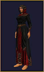 ꡼ No.004Υͥ / EverQuest IIThe Shadow Odyssey褤ȯ䡣ǸΥץӥ塼ĥѥåοʥƥĤʬࡼӡUp