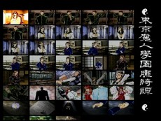 ꡼ No.011 | ܱץ꡼3ȥ򥲡ॢ֥ۿ