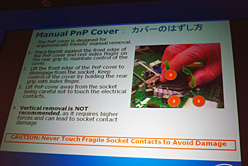 ꡼ No.010 | ƥ뤬ɥ桼٥ȤLynnfield򶯤ԡ롣P55Υå׸ɽ