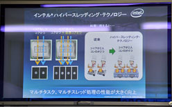 ꡼ No.008 | Lynnfield̻륰ץƥ뤬ǥɥ桼٥ȳ