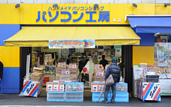 ꡼ No.021 | Lynnfield̻륰ץƥ뤬ǥɥ桼٥ȳ