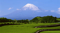 ꡼ No.002 | Ǿ˲ θס֥ۡॹ ݡ֥פΥǤ726PlayStation Storeۿ