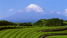 ꡼ No.003 | Ǿ˲ θס֥ۡॹ ݡ֥פΥǤ726PlayStation Storeۿ