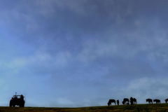 ꡼ No.004 | AFRIKAס饤󡦥եȥƥȤǽ󡣥ơޤϡֻפС