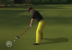 画像ギャラリー No.008のサムネイル画像 / エレクトロニック・アーツから，Wii版「タイガー・ウッズ PGA TOUR 09 ALL-PLAY」が本日発売