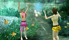 ꡼ No.005 | 󥼡顤PlayStation Home˥饦󥸡αȡץץ