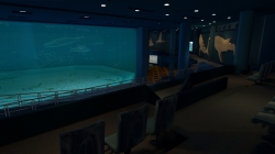 画像ギャラリー No.002のサムネイル画像 / 沖縄美ら海水族館「黒潮の海」がPS Home内でバーチャル再現