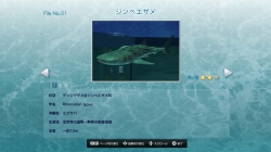 画像ギャラリー No.006のサムネイル画像 / 沖縄美ら海水族館「黒潮の海」がPS Home内でバーチャル再現