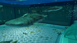 画像ギャラリー No.007のサムネイル画像 / 沖縄美ら海水族館「黒潮の海」がPS Home内でバーチャル再現